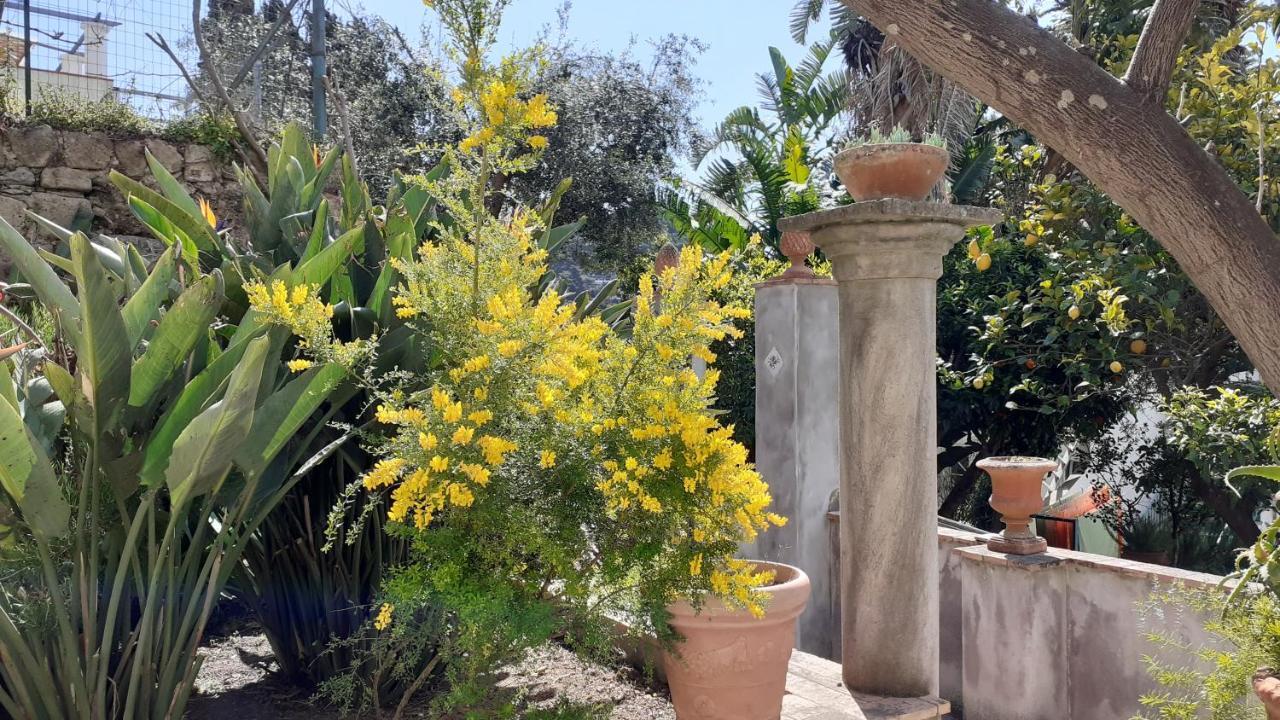 Villa Dorothee Capri Esterno foto