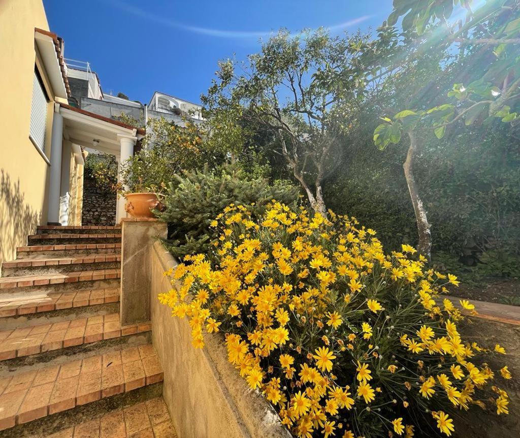 Villa Dorothee Capri Esterno foto