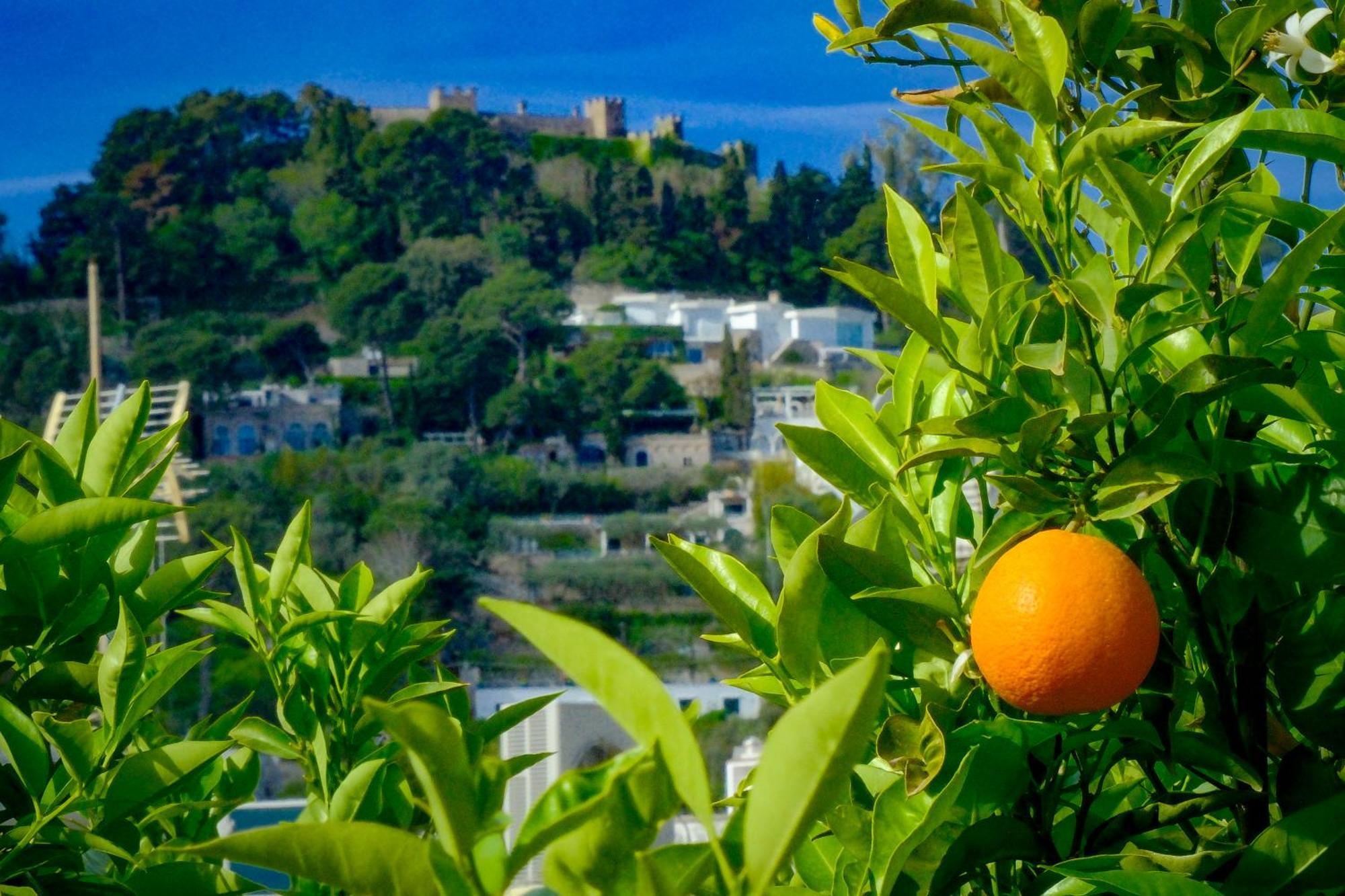 Villa Dorothee Capri Esterno foto