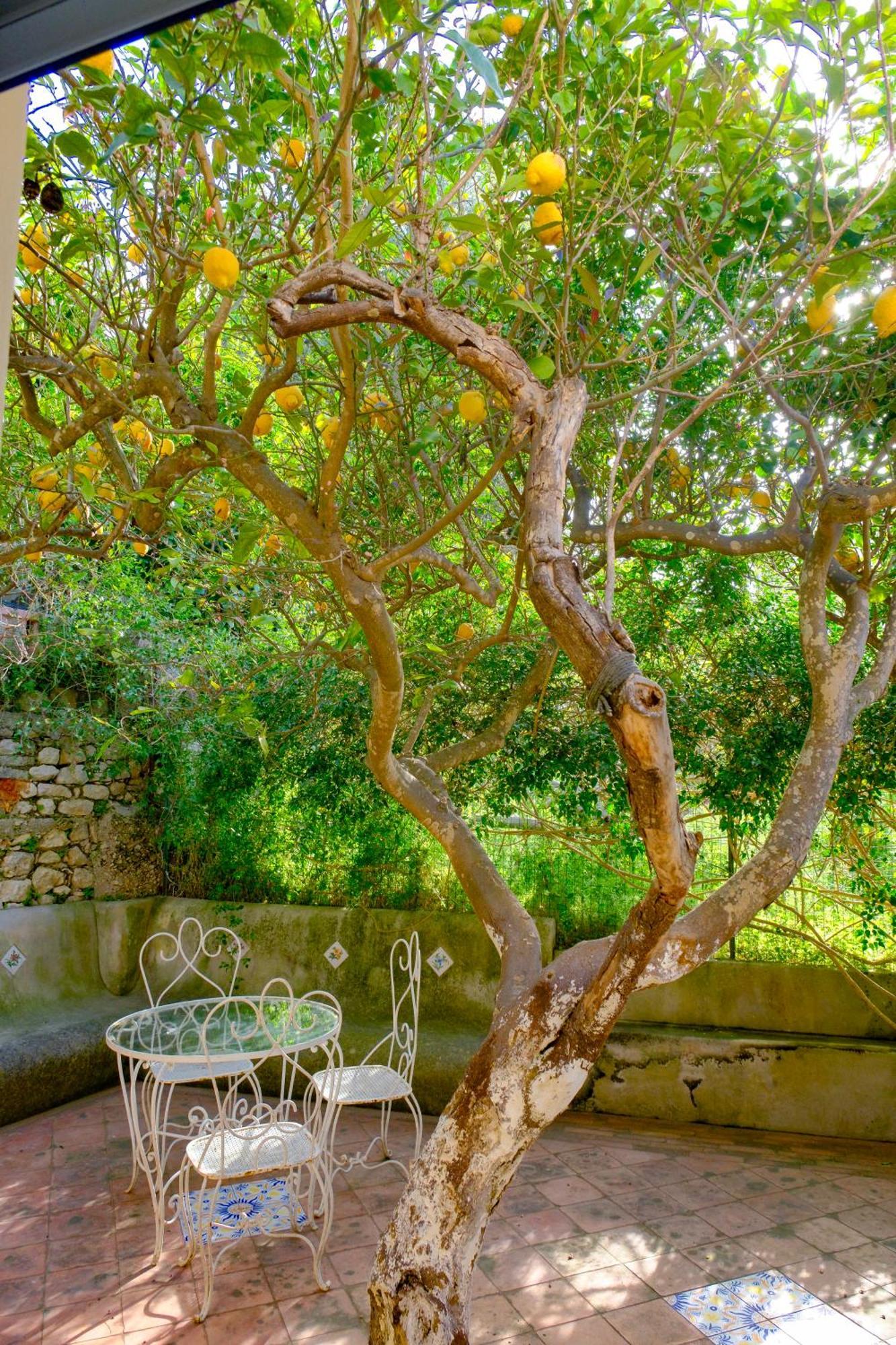 Villa Dorothee Capri Esterno foto