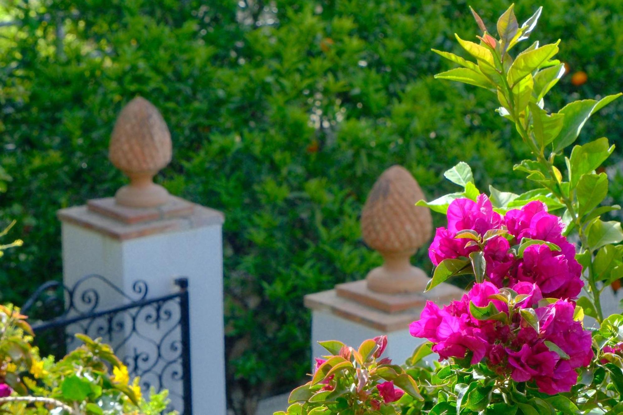 Villa Dorothee Capri Esterno foto