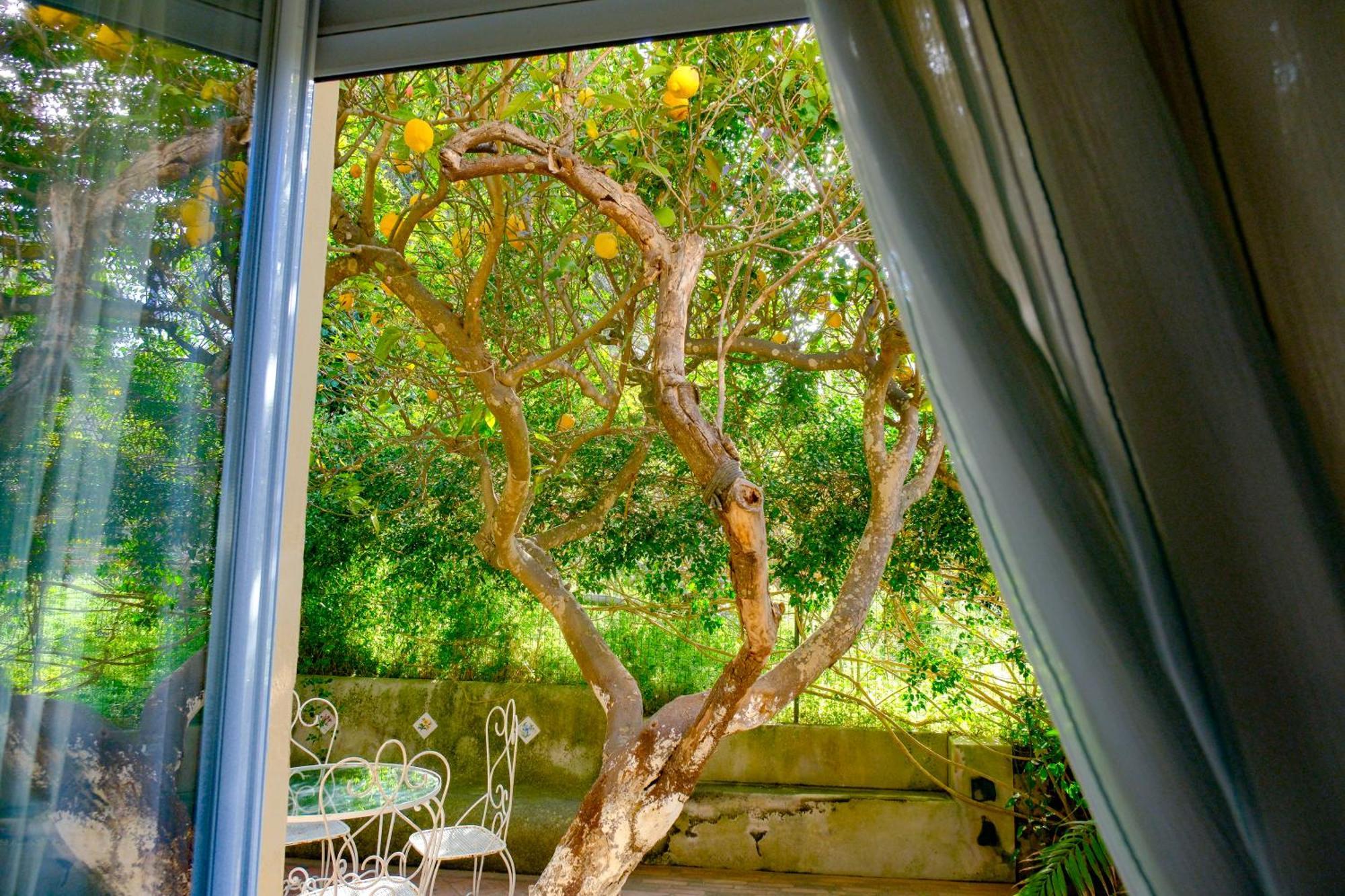 Villa Dorothee Capri Esterno foto